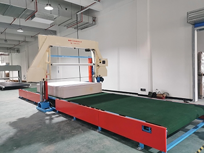 WDXF-1650/2150 海綿網(wǎng)帶吸風(fēng)平切機 WHCPQ